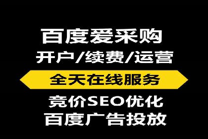 SEM推广案例：揭秘高ROI背后的策略与实践